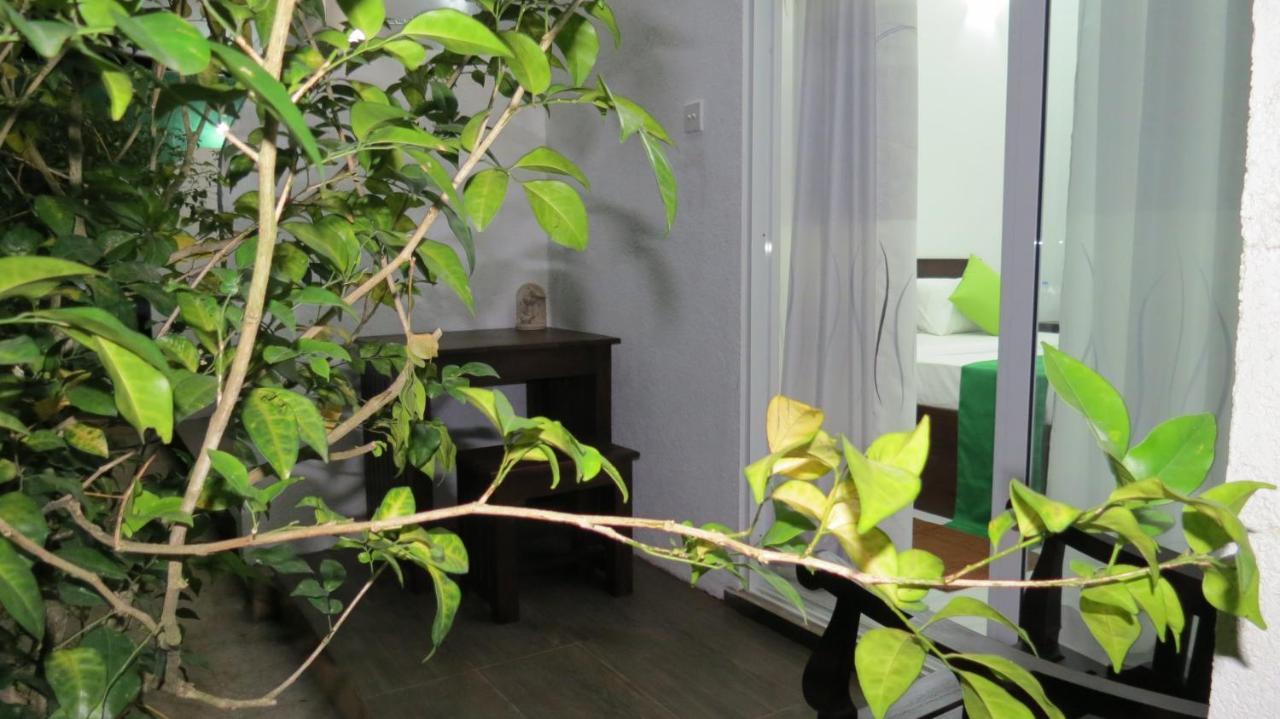 Senomaal Sigiri Resort Dambulla Esterno foto